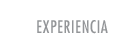 Experience sub menu